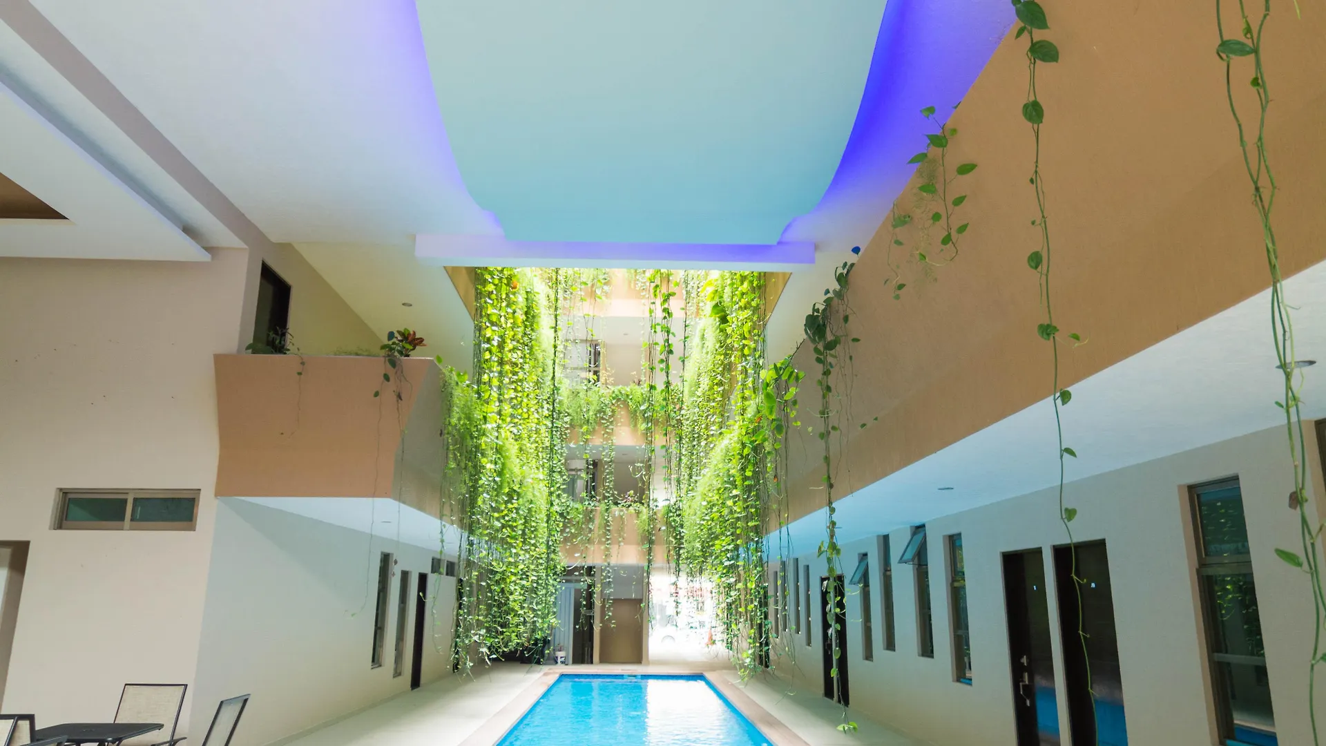 Palmarena Rooms & Residences - Long Stay Comfort With Parking, Sauna, Gym & Pool - Steps From 5Th Avenue Playa del Carmen 3*,