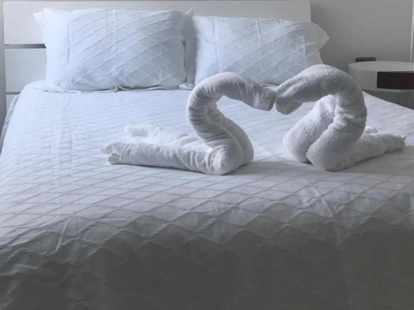 Palmarena Rooms & Residences - Long Stay Comfort With Parking, Sauna, Gym & Pool - Steps From 5Th Avenue Playa del Carmen 3*,