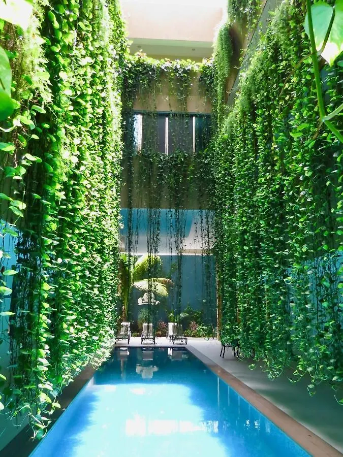 Palmarena Rooms & Residences - Long Stay Comfort With Parking, Sauna, Gym & Pool - Steps From 5Th Avenue Playa del Carmen Hotel