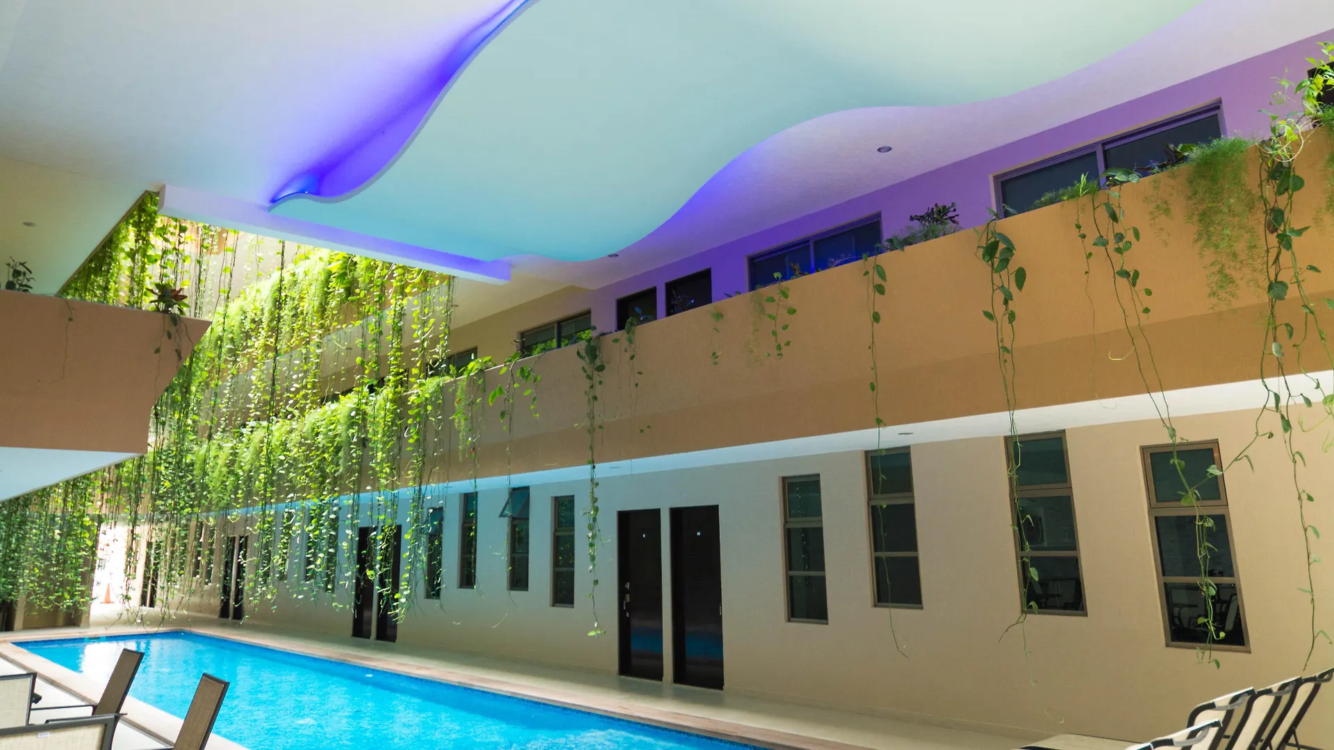 *** 호텔 Palmarena Rooms & Residences - Long Stay Comfort With Parking, Sauna, Gym & Pool - Steps From 5Th Avenue 신데 델 카르멘 멕시코
